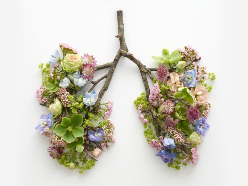 /blogs/sante-et-vie-pratique/allergies-saisonnieres-comprendre-anticiper-mieux-pollen