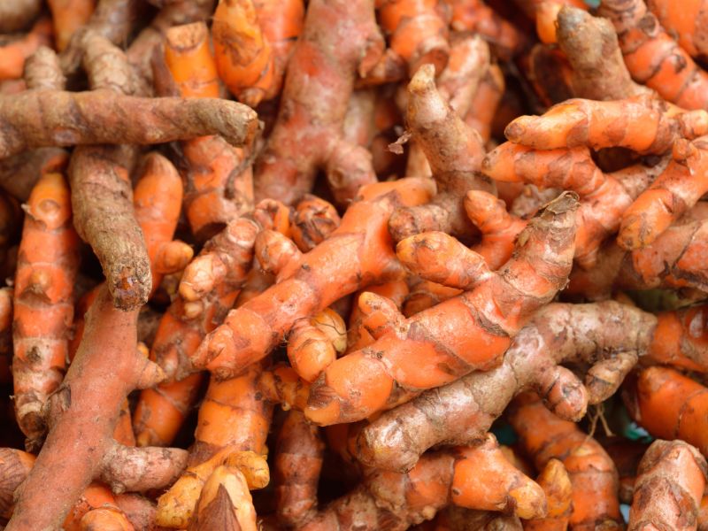 Quels sont les vertus et les bienfaits du Curcuma ?