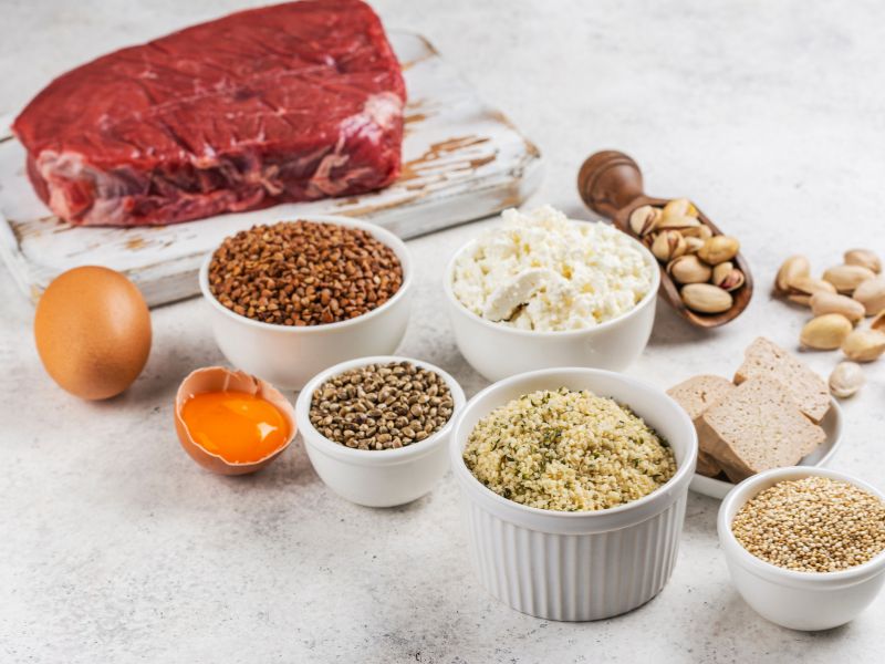 L'importance des protéines dans son alimentation : pourquoi et comment en consommer plus au quotidien ?