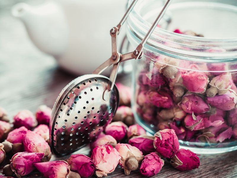 Quelques recettes pour préparer une boisson rafraichissante cet été