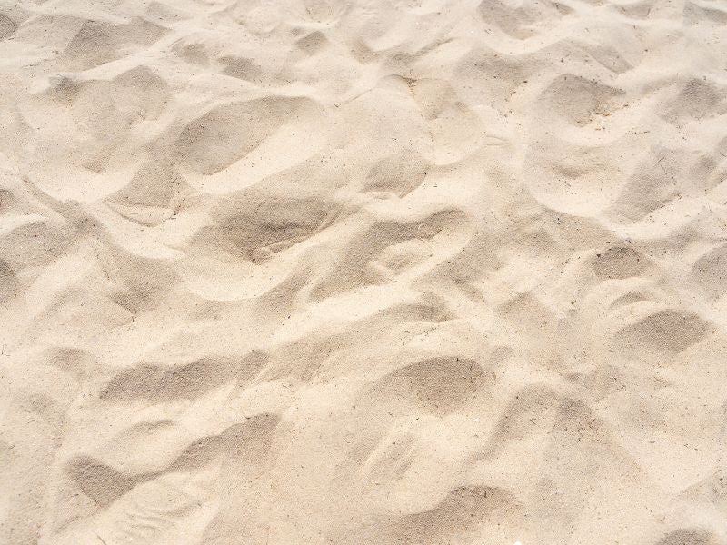 Top 10 des activités à faire sur la plage