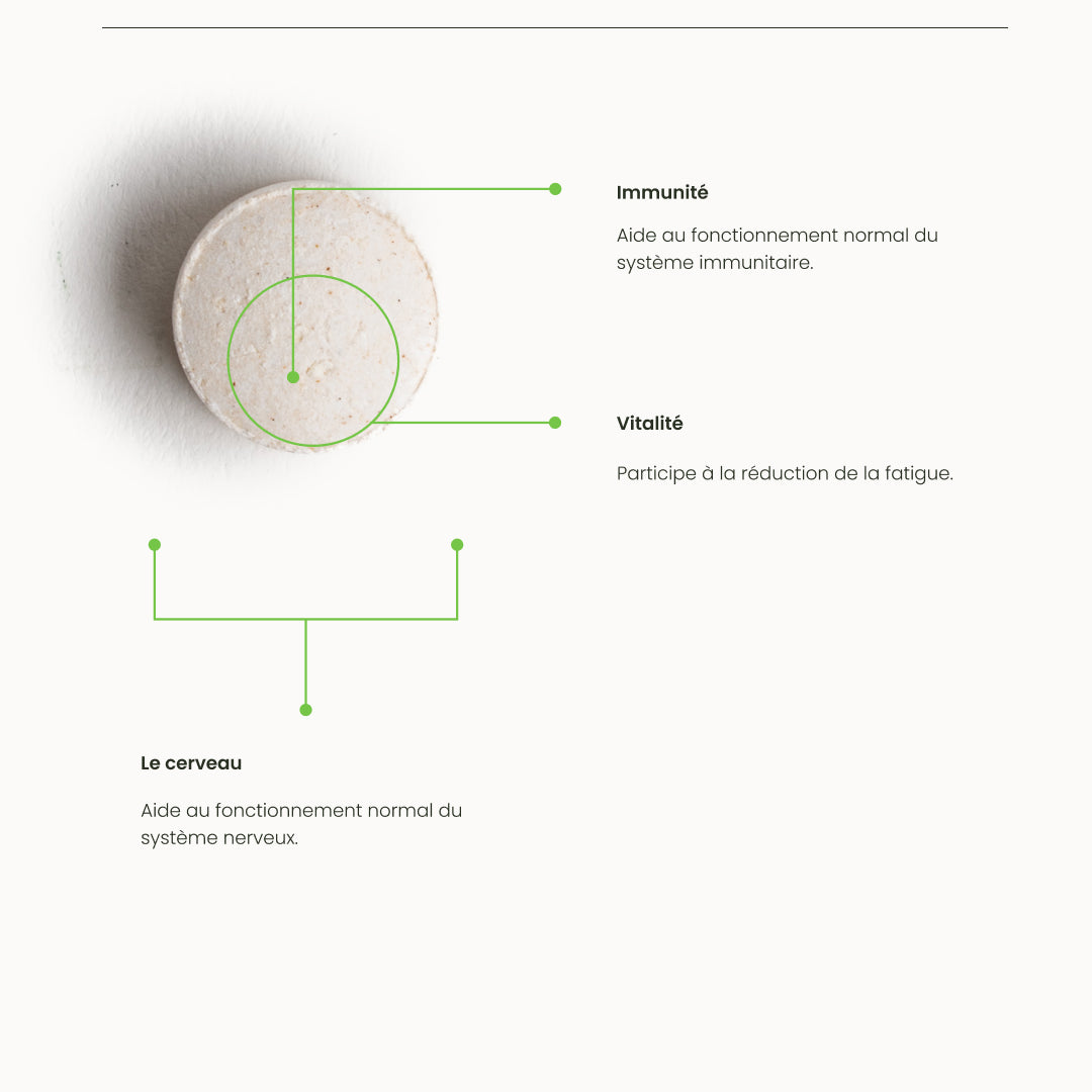 vitamine-b12-bio-vegan-natesis