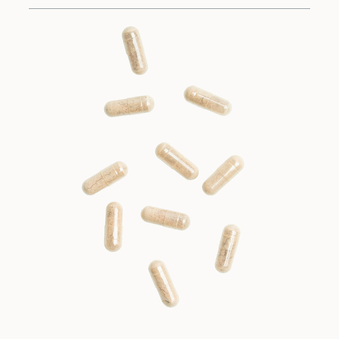 luteile-vision-natesis