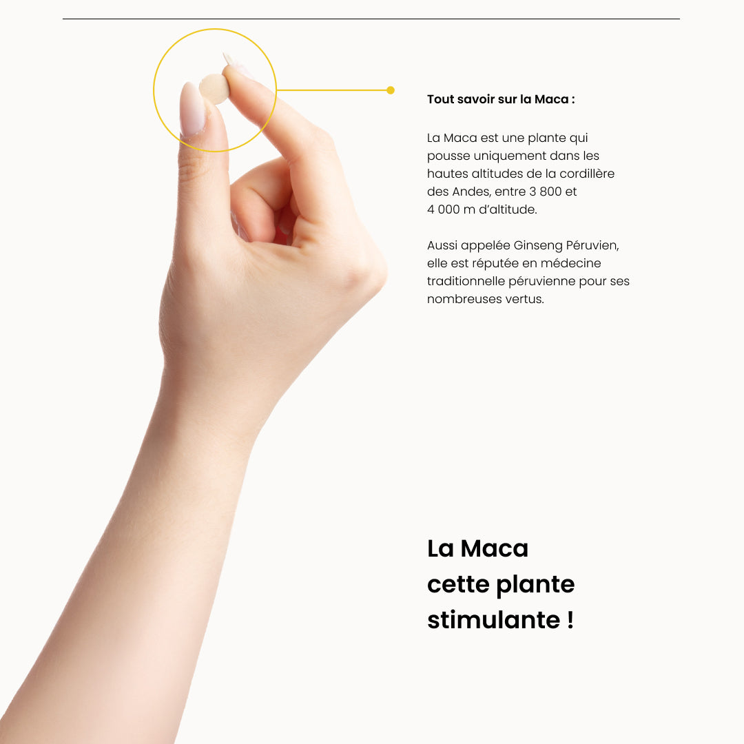 maca-bio-des-andes-natesis