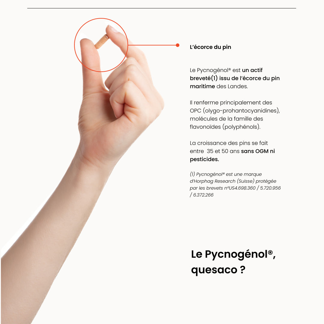 pycnogenol-natesis