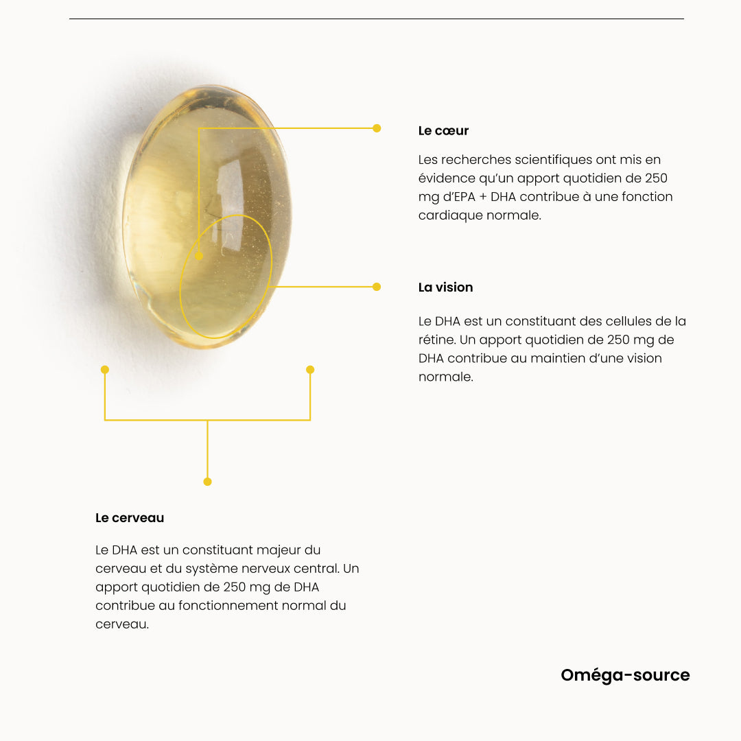 Articulation & Circulation - 2 mois