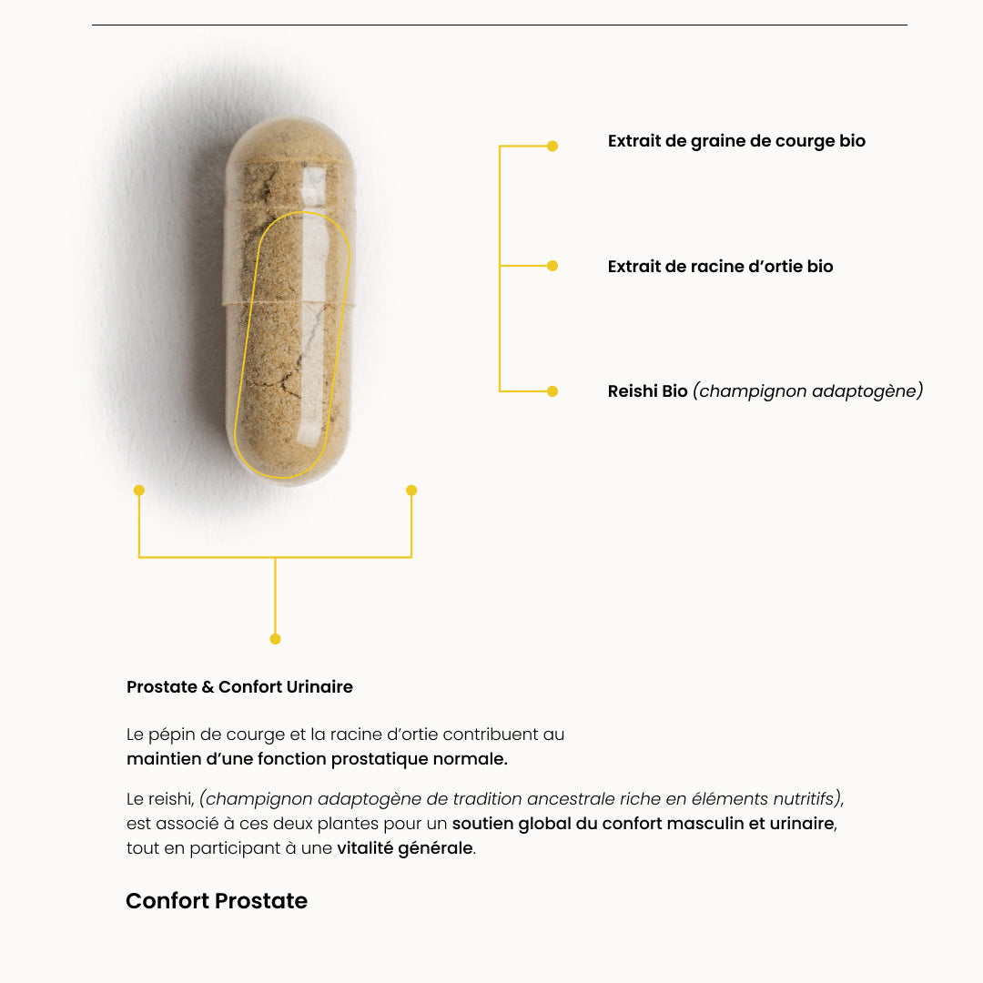 Confort des hommes - 20 jours
