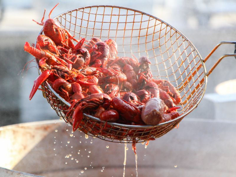 Fruits de mer et crustacés : comprendre la différence et leurs bienfaits