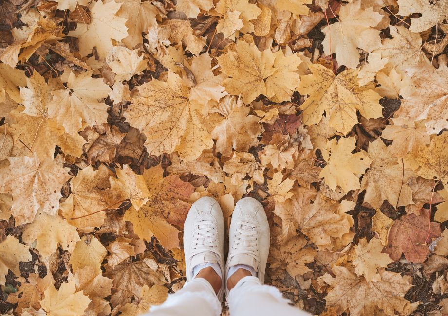 Immunité en automne : 6 micronutriments que votre corps réclame dès maintenant