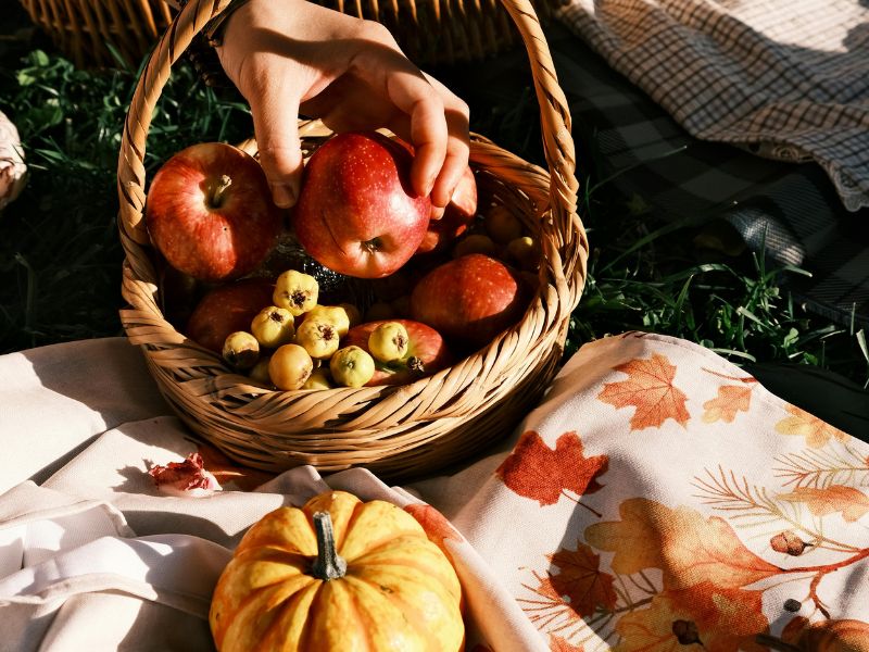 manger-au-rythme-des-saisons-legumes-fruits-automne