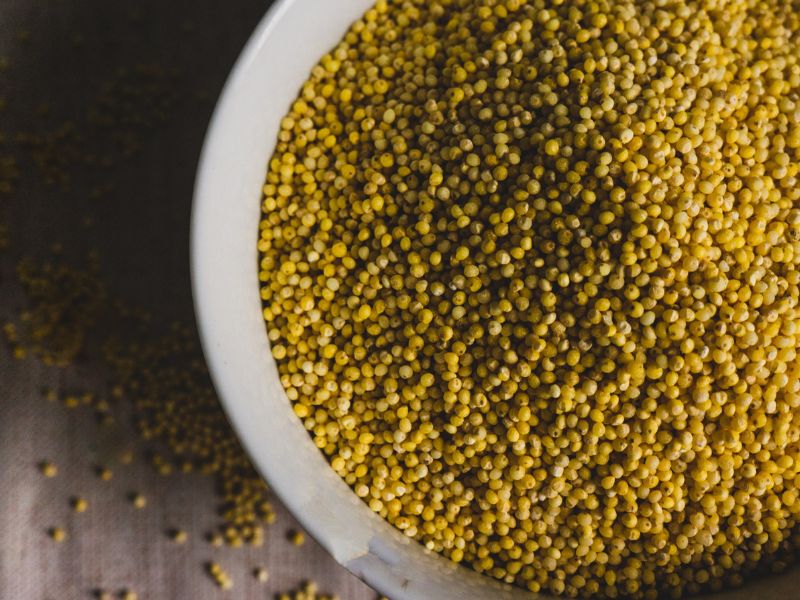 Les bienfaits du millet : un superaliment à consommer toute l’année