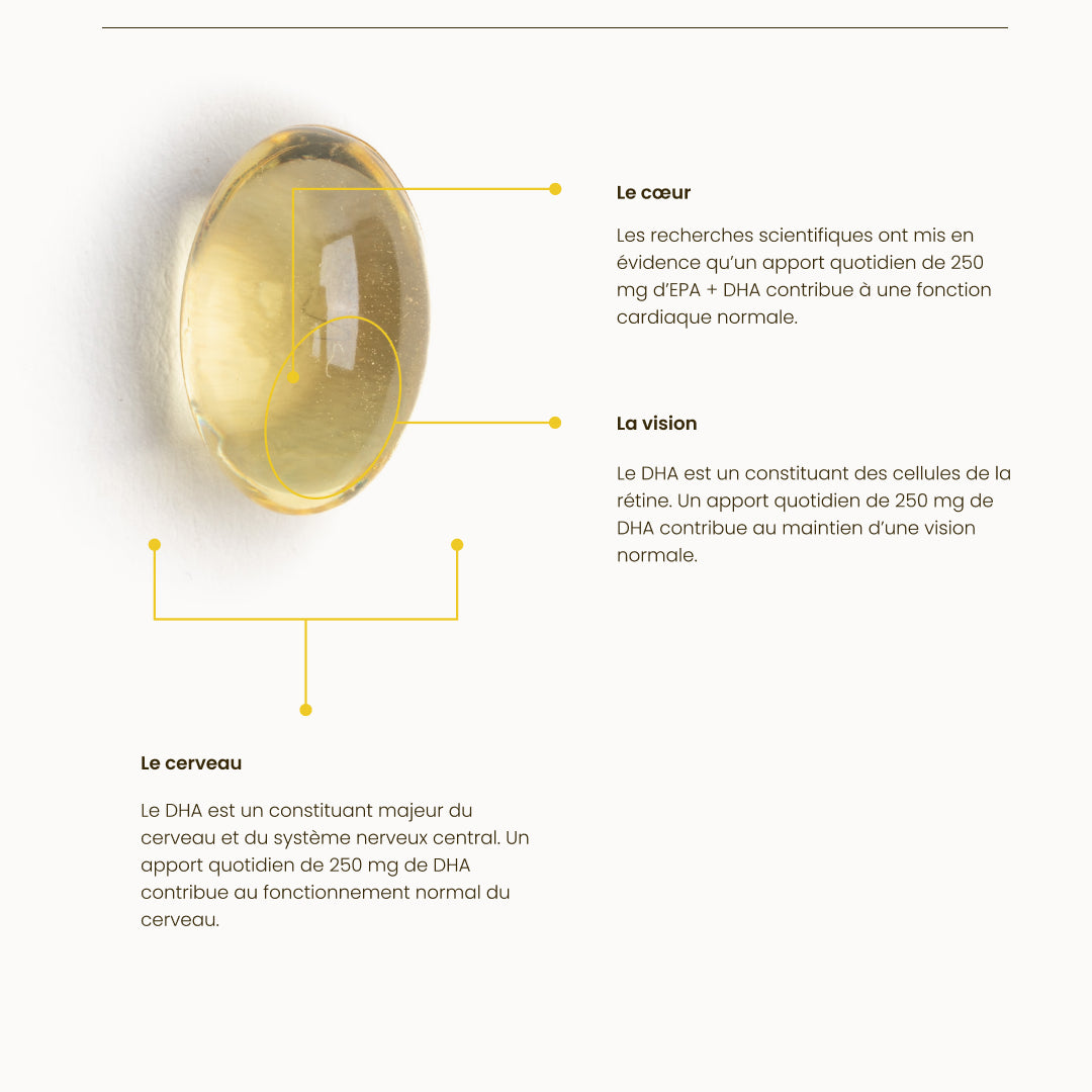 omega-3-natesis