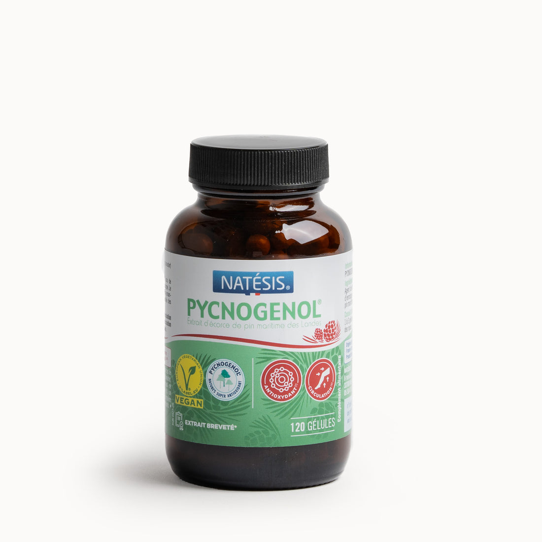 pycnogenol-natesis