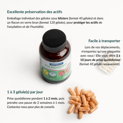 Pycnogenol® 40 mg