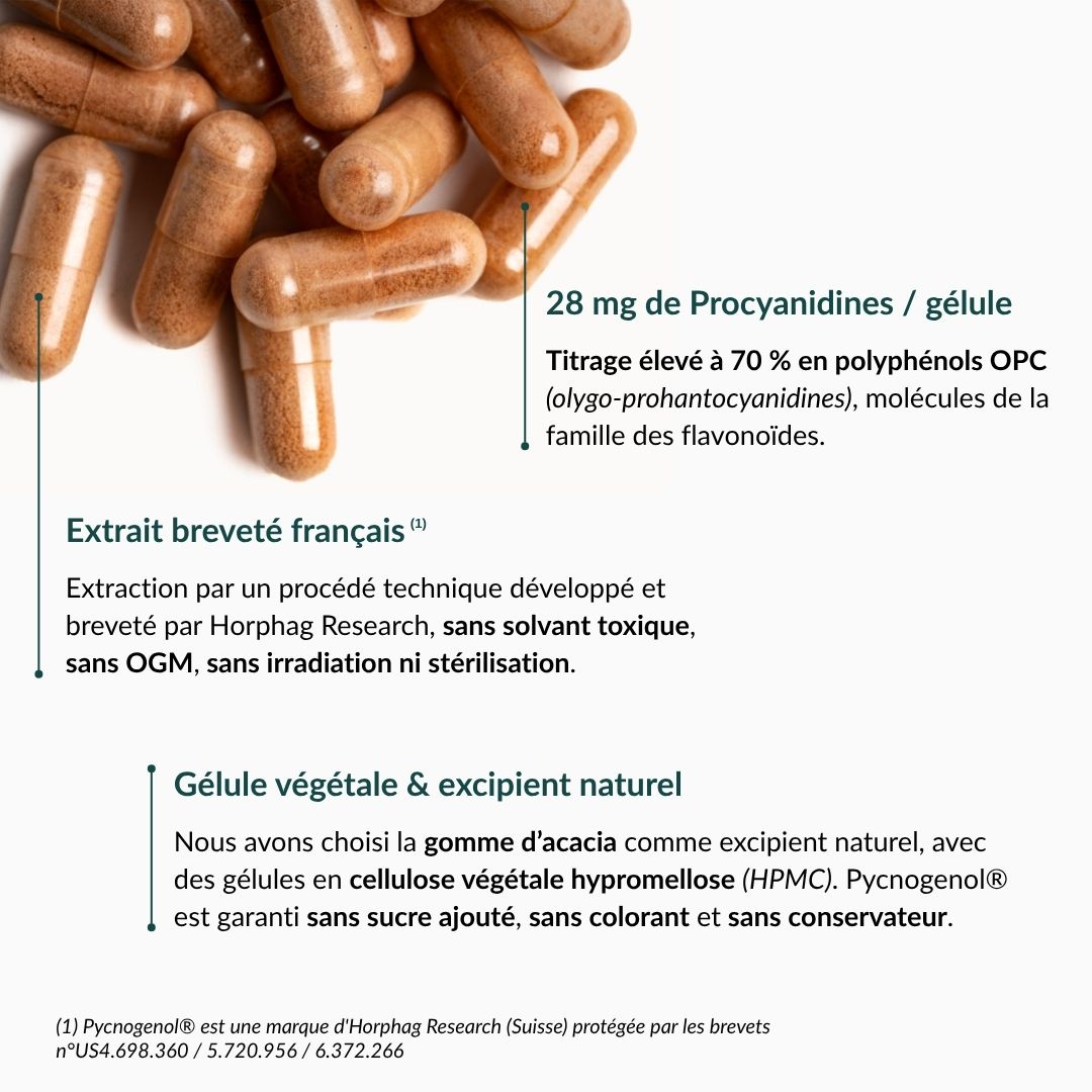 Pycnogenol® 40 mg
