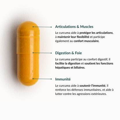 Curcuma 95 Bio