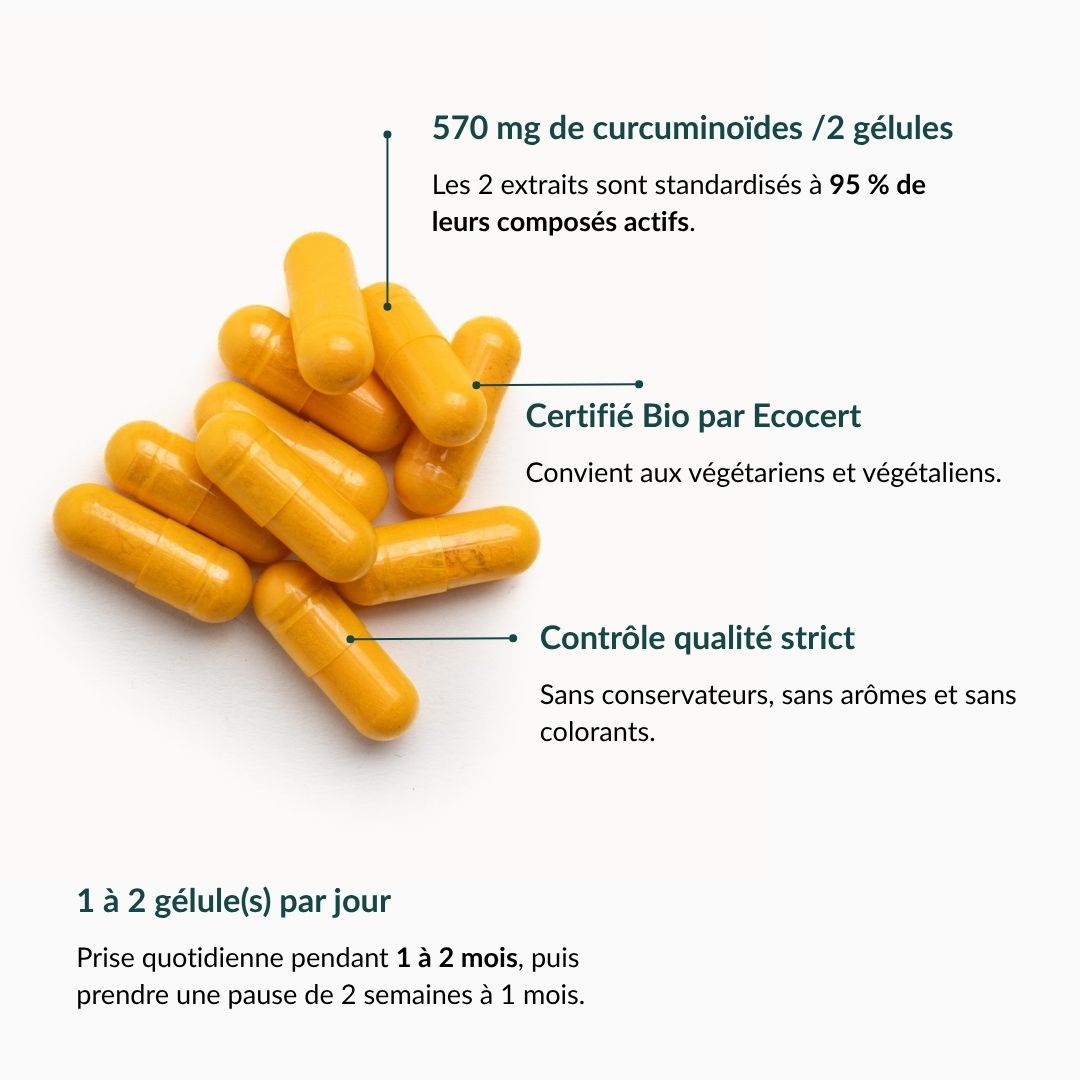 Curcuma 95 Bio